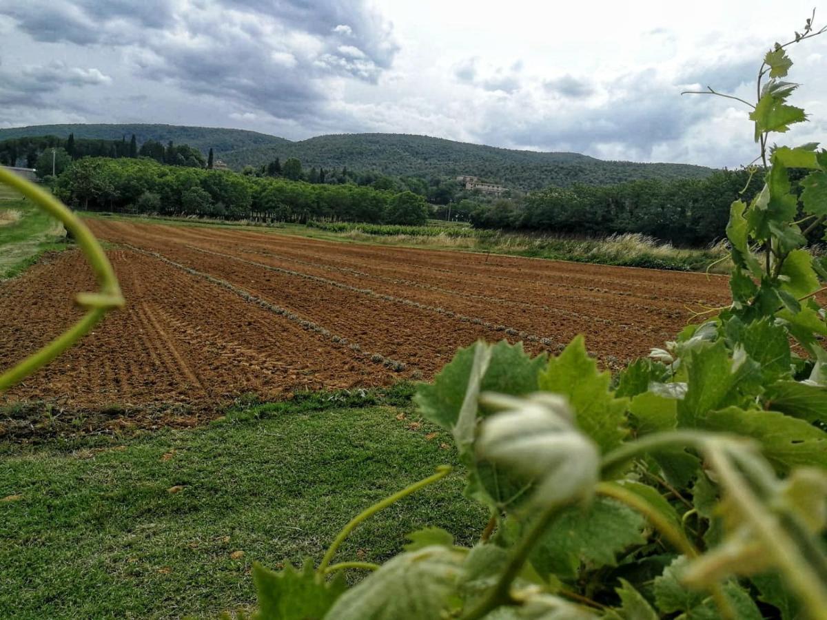 Claudia Vacanza Toscana - Appartamento Nocciolo- 10 Min Da Siena Malignano 外观 照片